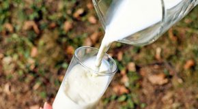 Rappel de briques de lait Candia: comment me les faire rembourser?