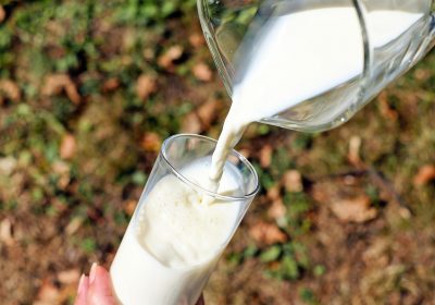 Rappel de briques de lait Candia: comment me les faire rembourser?