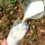 Rappel de briques de lait Candia: comment me les faire rembourser?